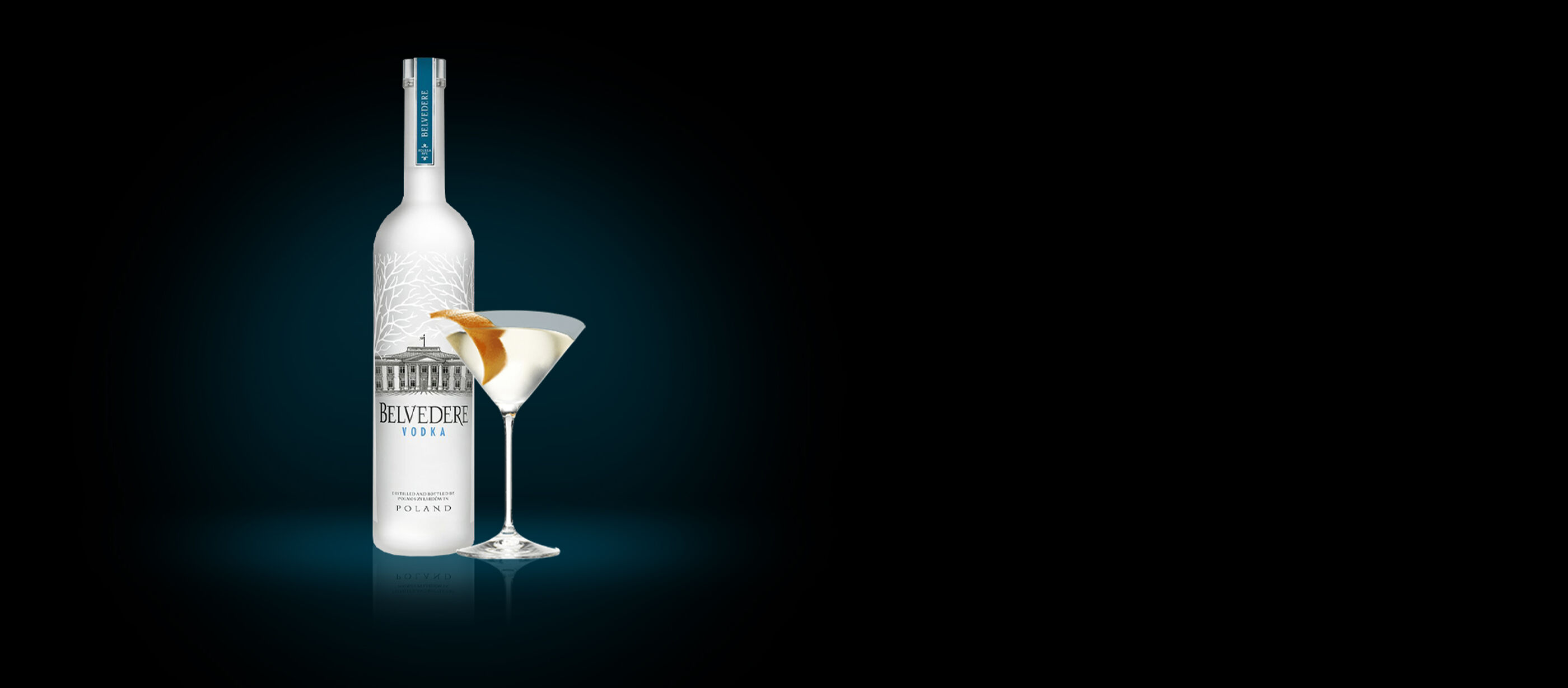 Classic Vodka Martini Cocktail